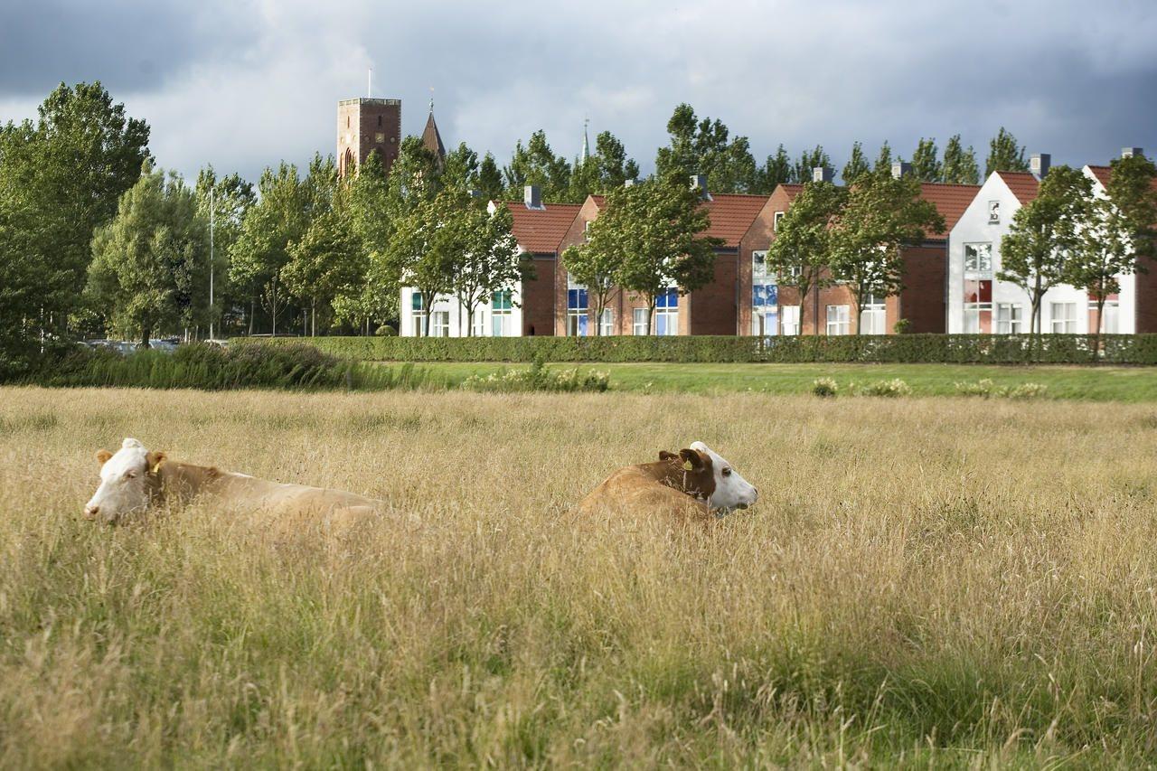 Ribe Byferie Resort Esterno foto